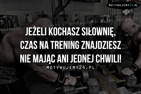 Jeżeli kochasz siłownię..