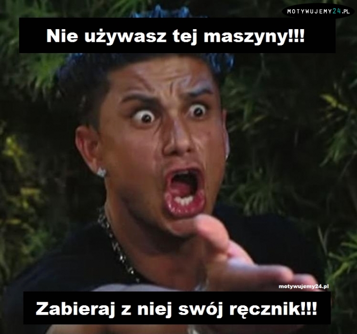 Pauly D ma rację