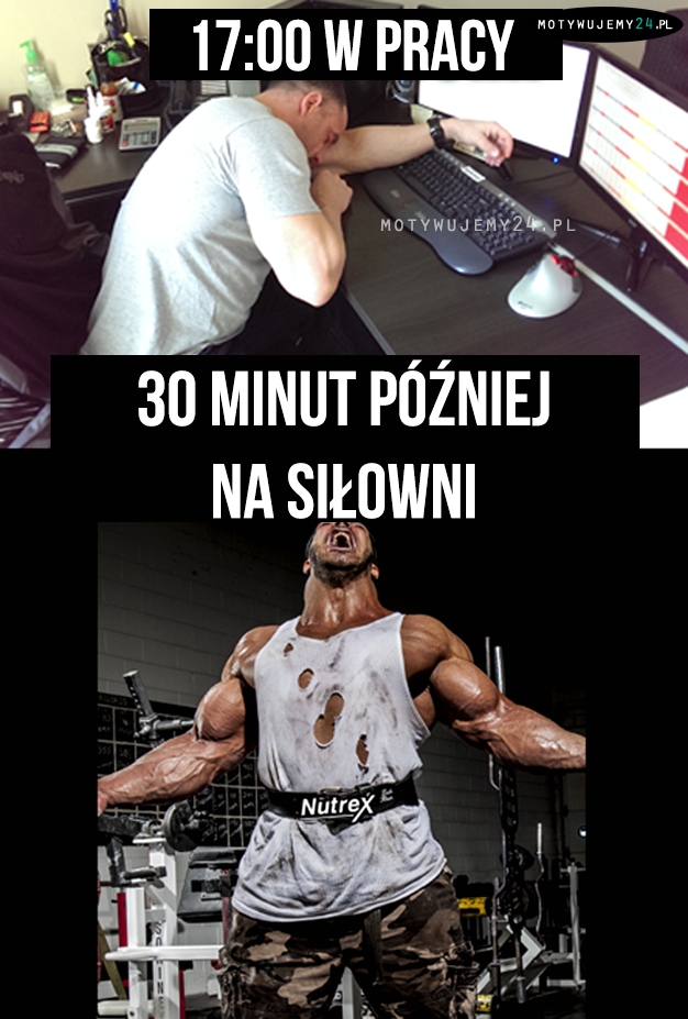 praca vs siłownia