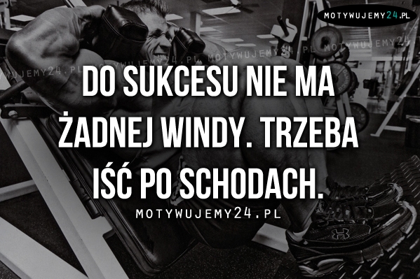 Do sukcesu nie ma żadnej windy.