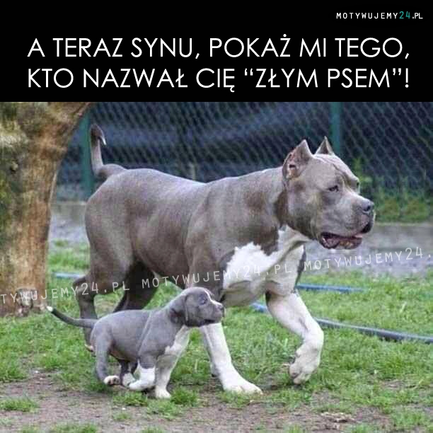 A teraz synu...