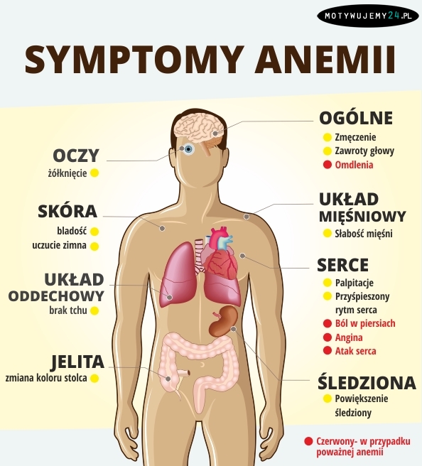 Jak rozpoznać anemie