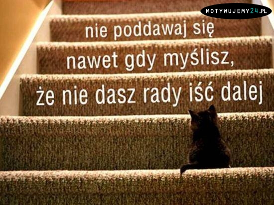 Nie poddawaj się...