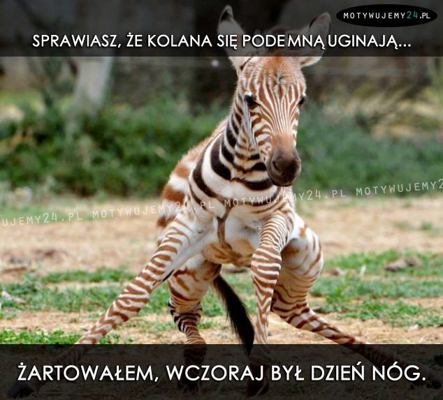 Sprawiasz, że kolana się pode mną uginają...