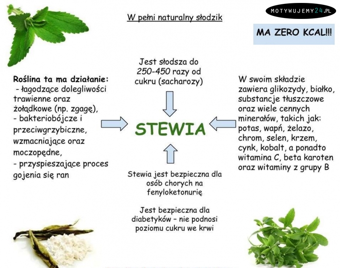 Stewia