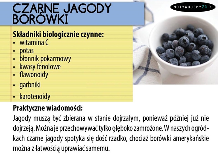 Zdrowa żywność - czarne jagody i borówki