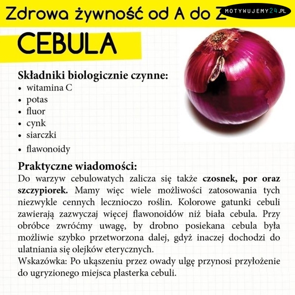 Zdrowotne właściwości cebuli