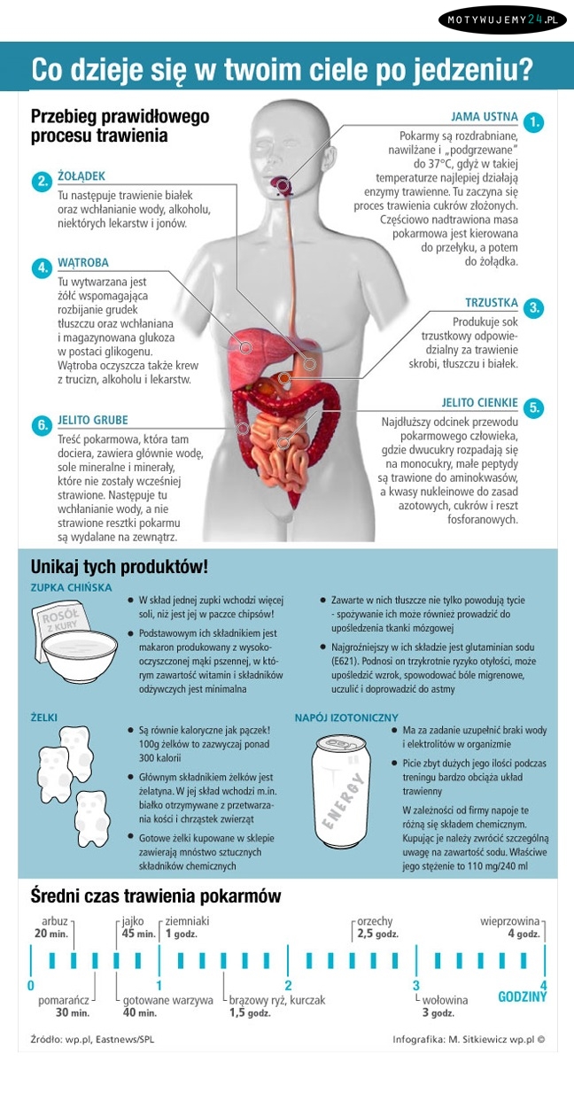 Co dzieje się w twoim ciele po jedzeniu?