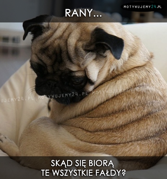 Rany...