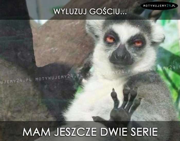 Wyluzuj gościu...