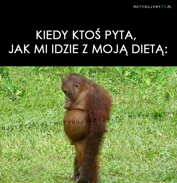 Kiedy ktoś pyta, jak mi idzie...