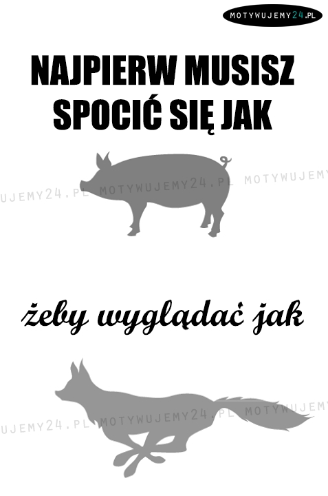 Coś za coś...