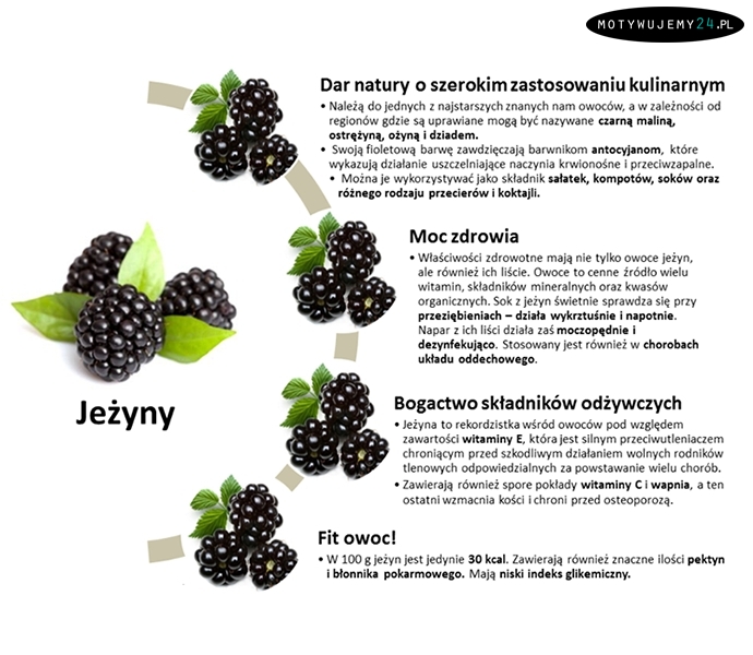 Dlaczego warto jeść jeżyny?