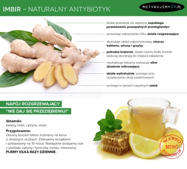 Imbir - naturalny antybiotyk