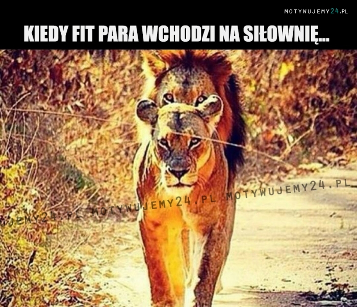 Kiedy fit para wchodzi na siłownię...