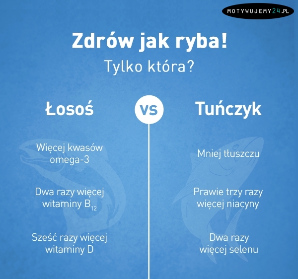 Łosoś vs tuńczyk