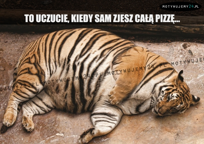 To uczucie, kiedy sam zjesz całą pizzę...