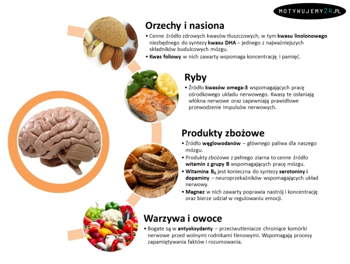 Dieta dla naszego mózgu
