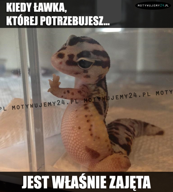 Kiedy ławka, której potrzebujesz jest...