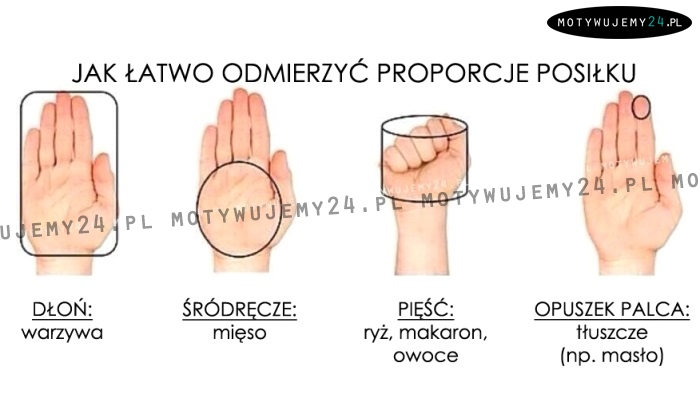 Odmierzamy proporcje posiłku