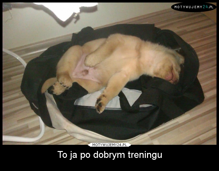 To ja po dobrym treningu