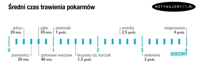 Średni czas trawienia posiłków