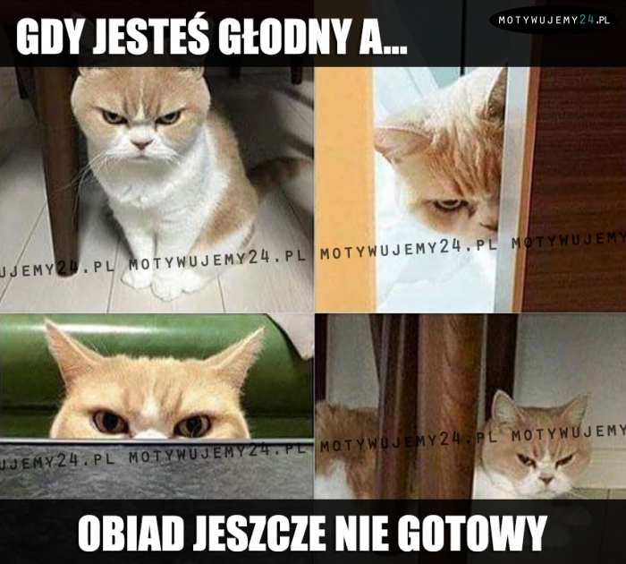 Gdy jesteś głodny a...