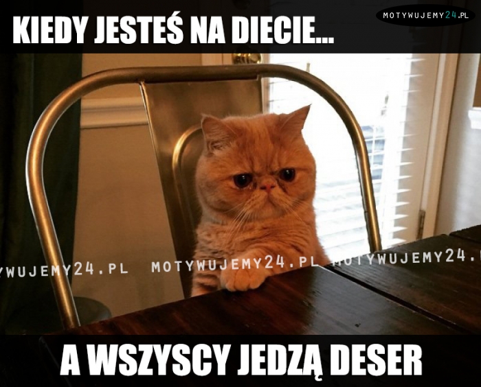 Kiedy jesteś na diecie...