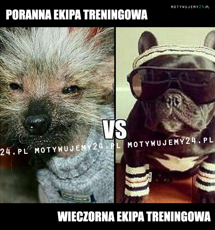 Wyróżniamy dwie ekipy treningowe...