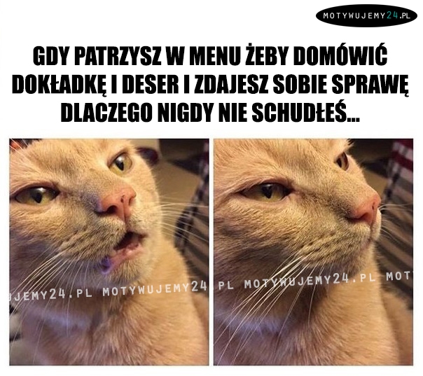 Zagadka rozwiązana...