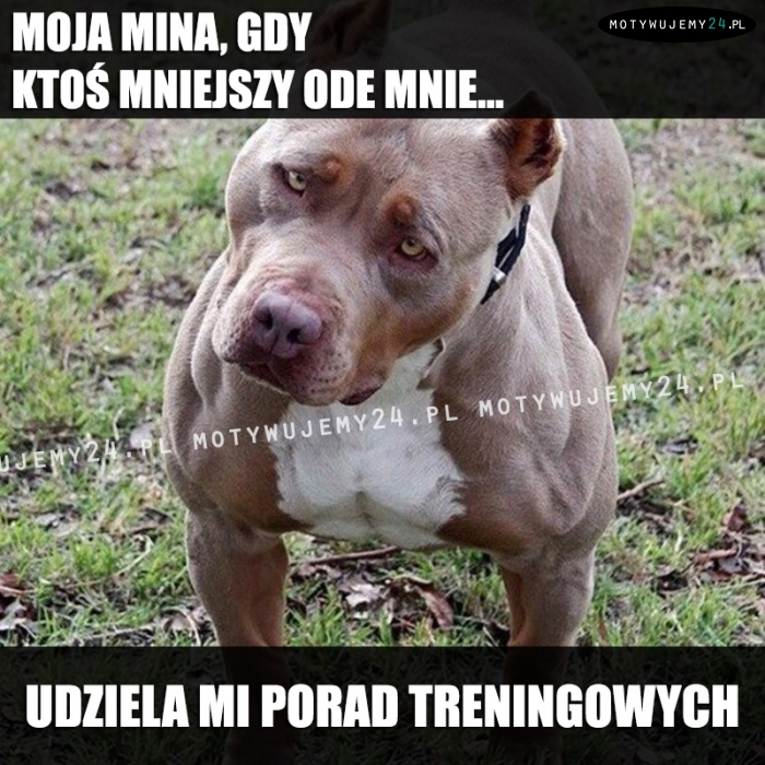 Żartujesz?