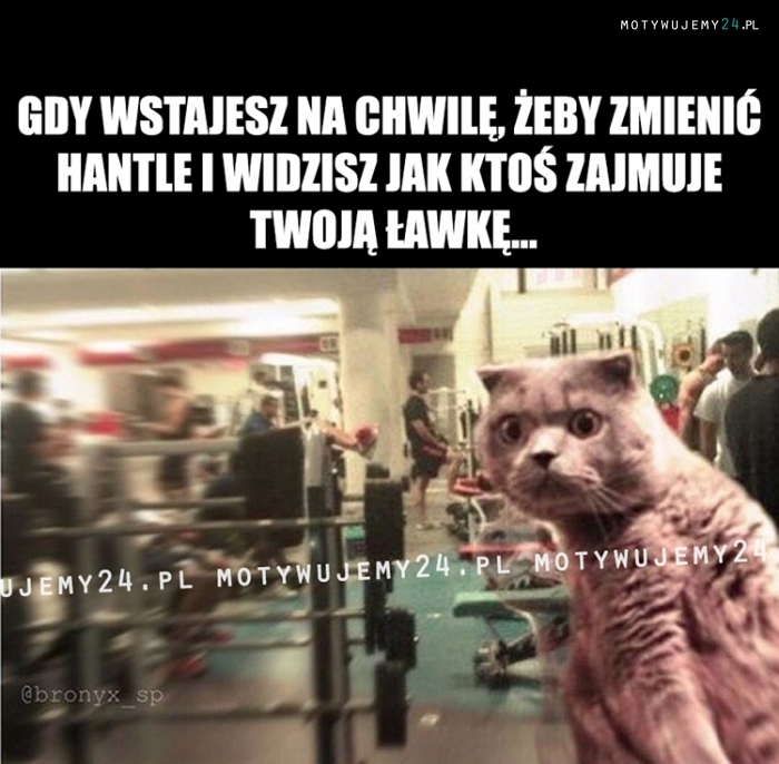 Gdy wstajesz na chwilę, żeby...