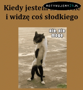 Kiedy jestem na diecie...