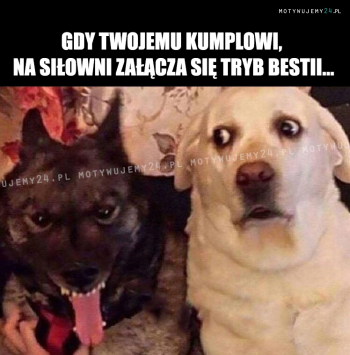 Zaczyna się...