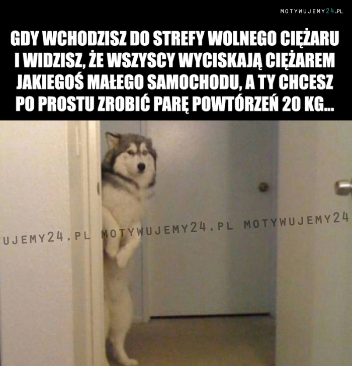 Gdy wchodzisz do strefy wolnego ciężaru i...