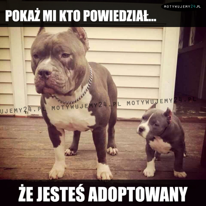 Zrobimy porządek...