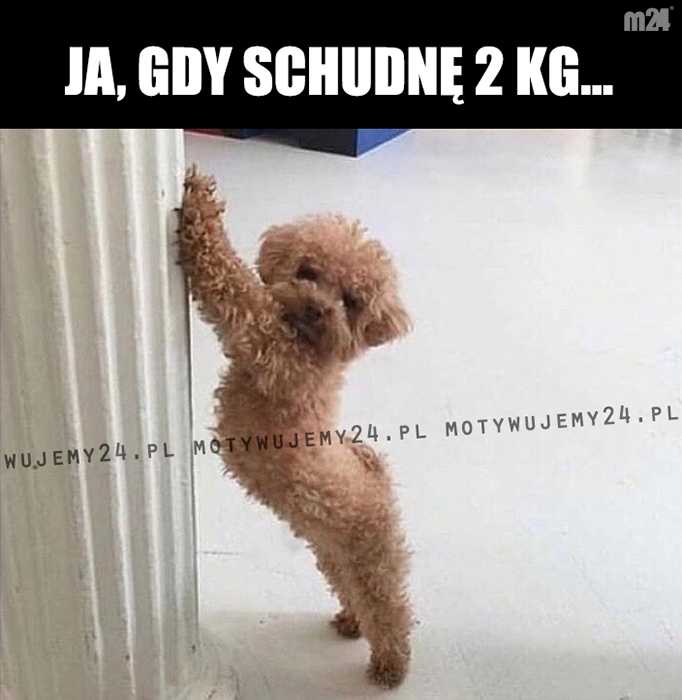 Gdy schudnę 2 kg...