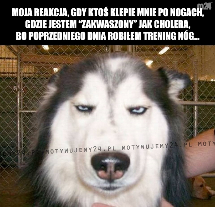 Moja rekacja, gdy...