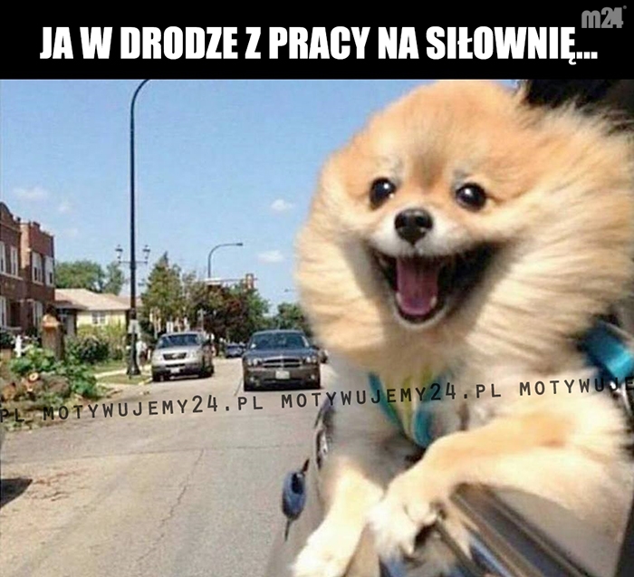 Tak właśnie wyglądam...