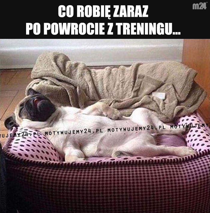 Dziękuję, dobranoc