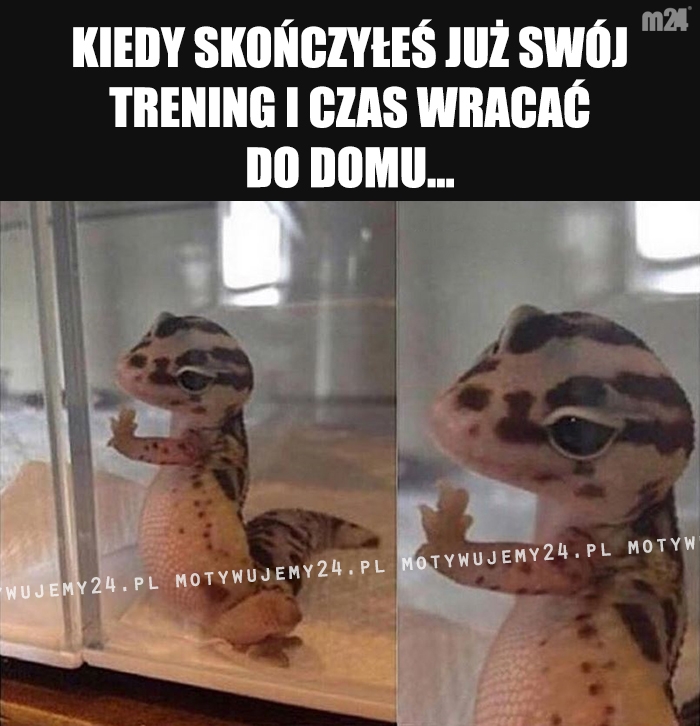 Pożegnania bywają ciężkie...