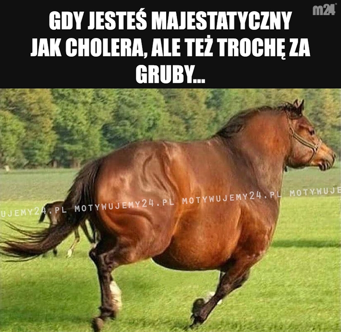 Liczy się wnętrze...