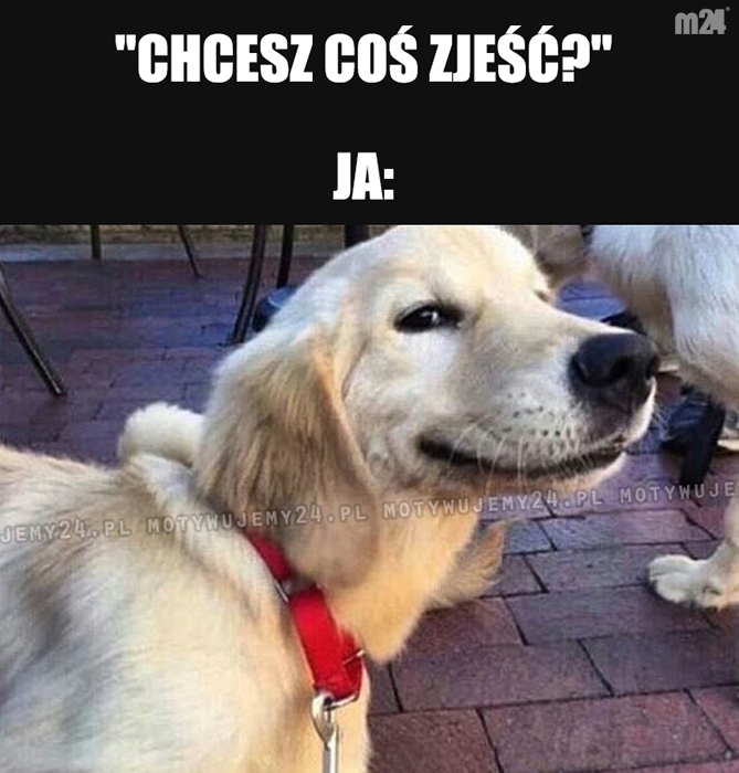 Jeszcze pytasz...