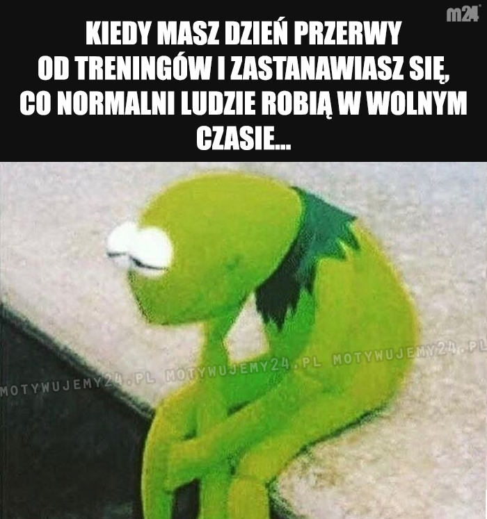 Zielonego pojęcia...