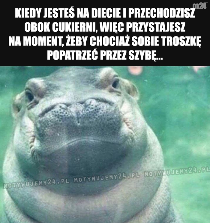 Chociaż tyle...