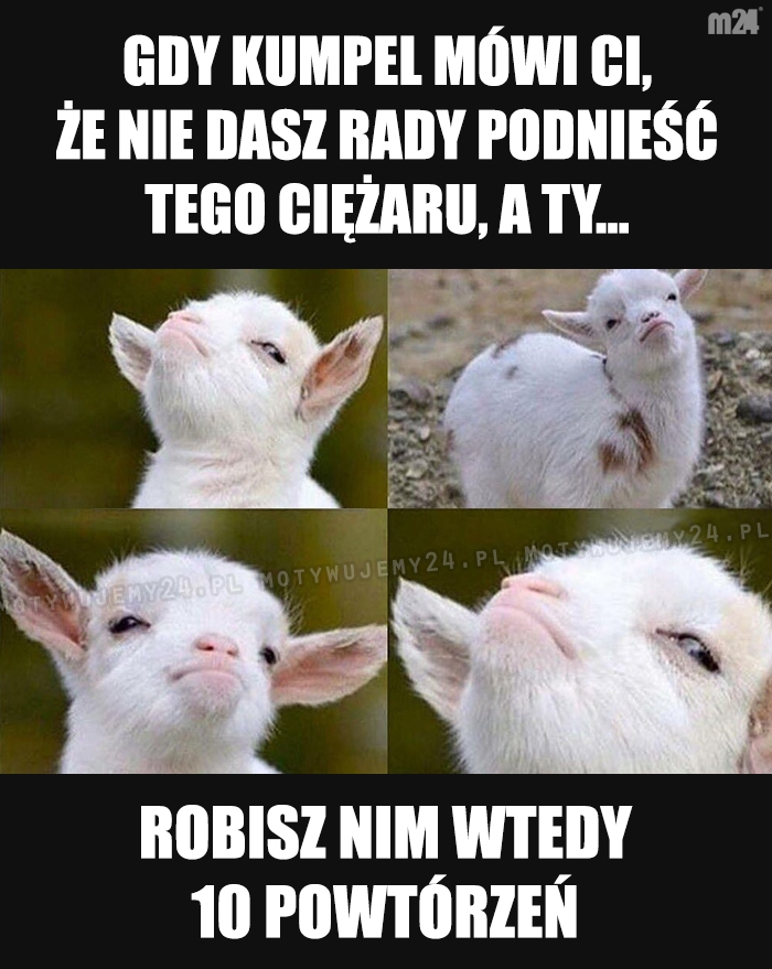 Też mi coś...