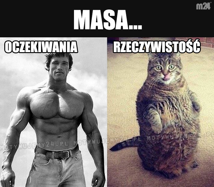 Tymczasem na masie...