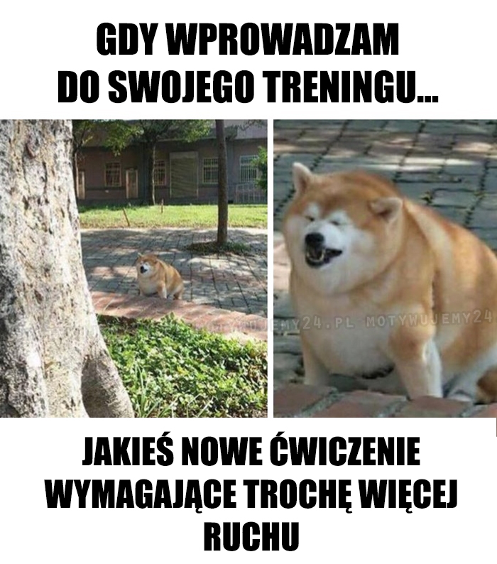 Ja je*ie...