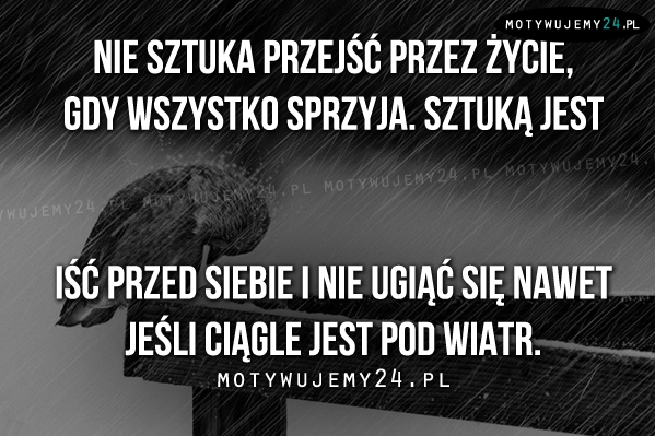 Nie sztuka przejść przez życie, gdy..