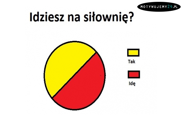 Idziesz na siłownię?